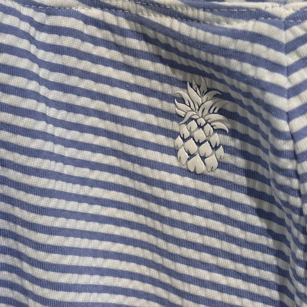 Tommy Bahama Island Zone Abby Costa Wave stripe skort size xl - Picture 3 of 8